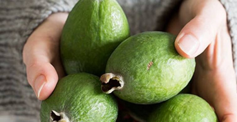 Фейхоа и йод: кто должен добавить этот фрукт в свой рацион?